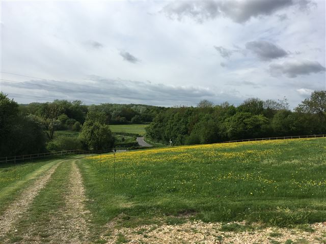 The Event Field @ Hawbridge Farm - Alton, Hampshire, United Kingdom