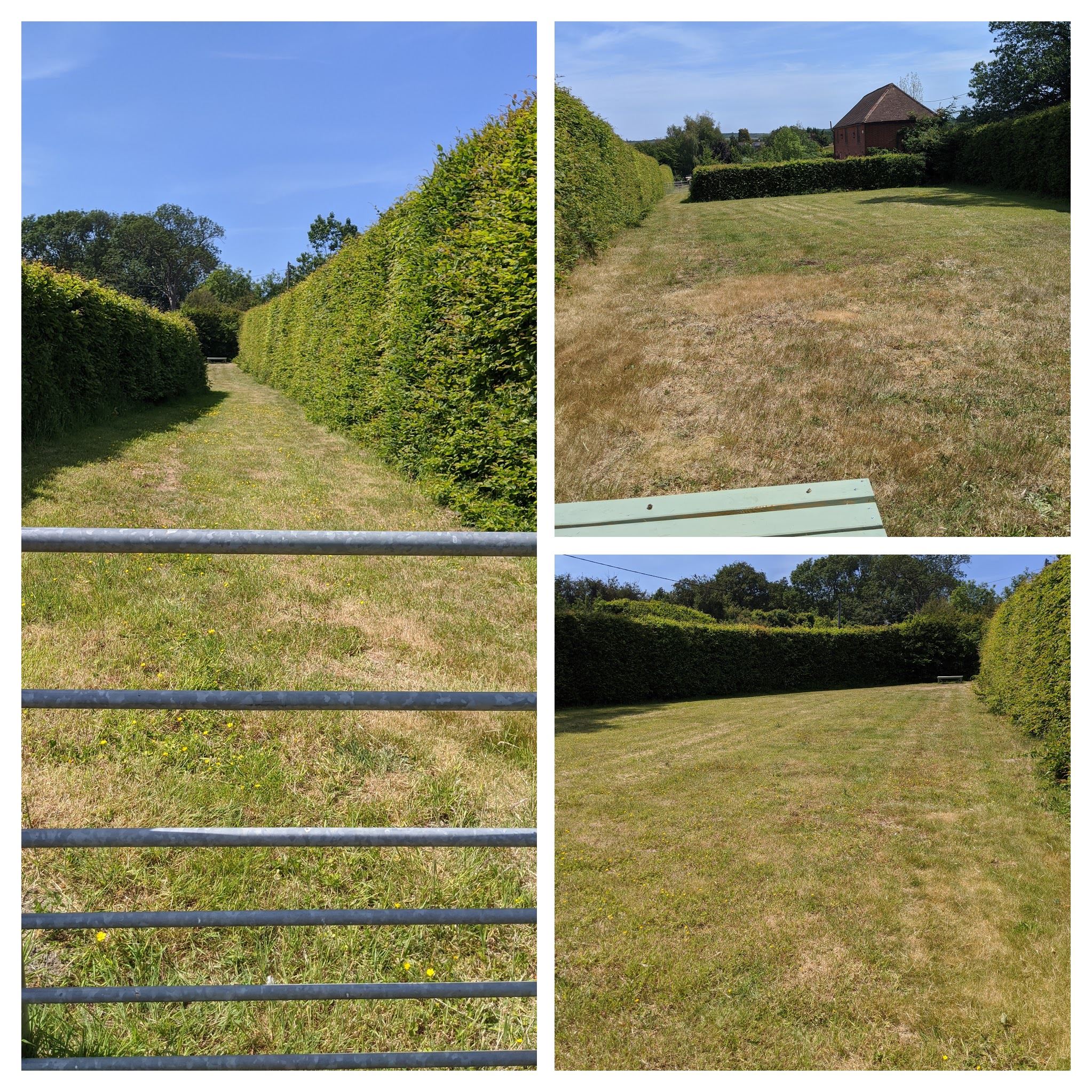 Myrtle Fields Hernhill, Faversham, UK Field Lover