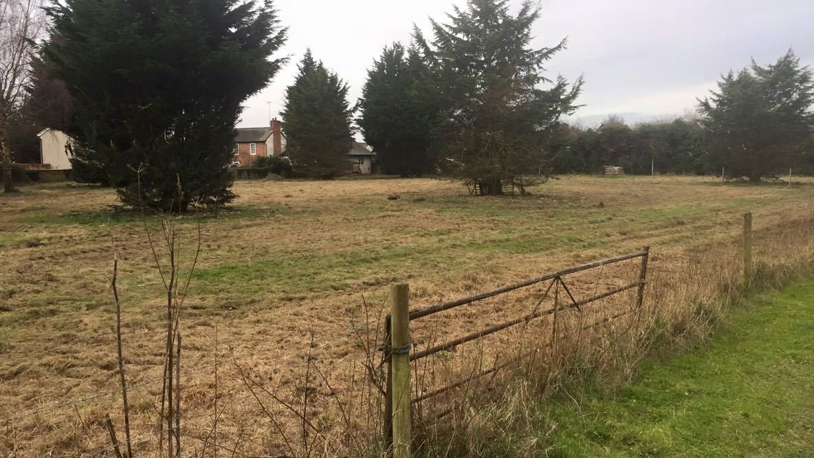 Suffolk Grassy Meadow Smallholding, Grazing, Equestrian, Weddings